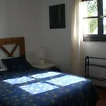 Apartment Schoene In Mit Grill- Garten Und Terrasse Und Neben Dem Str By Interhome